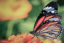 ddos攻击测试工具