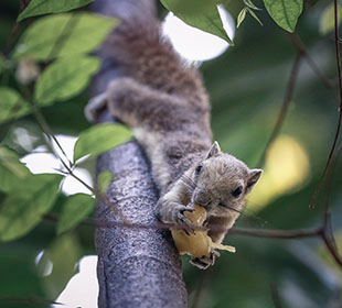 效率工具神器的在线网站攻击